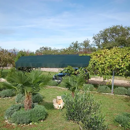 Nency By El-pi Tours *