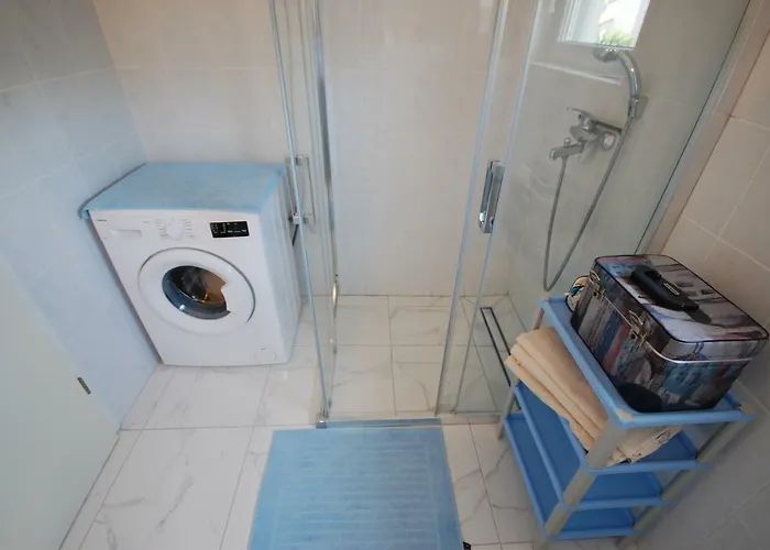 Nency By El-pi Tours *